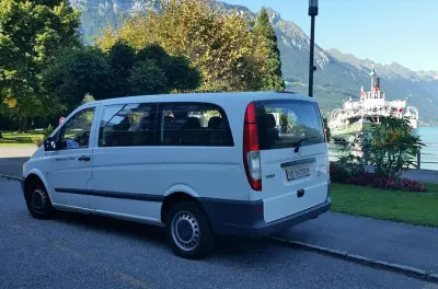 Parasailing Interlaken: Mountains, Lakes & Swiss Cow Farm