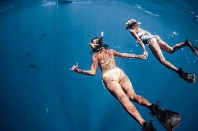 Erlebe das aufregende haiflossen-tauchen vor oahu mit meeresbiologen. inklusive schnorchelausrüstung, profi-fotos und flexible buchung für kleine gruppen.