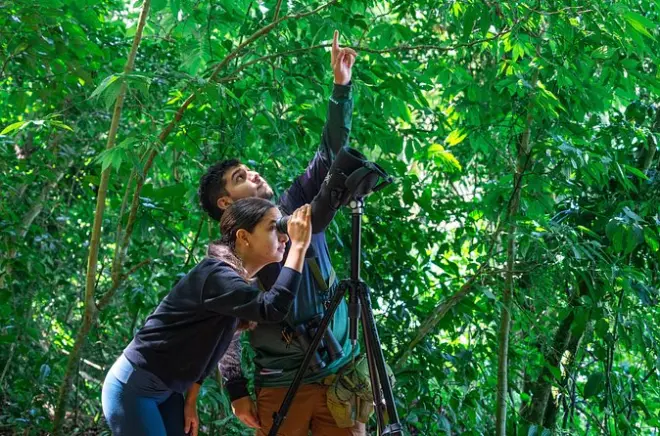 Bosque nuboso de Monteverde con guía: Descubre su biodiversidad única