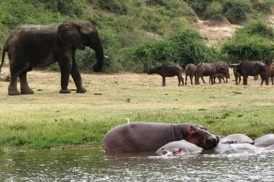 2-tägige Queen Elizabeth Safari mit Kazinga Channel Bootsfahrt