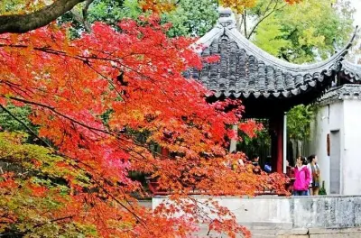 Privater Suzhou Rundgang mit Gartenbesuch und Bootsfahrt Option