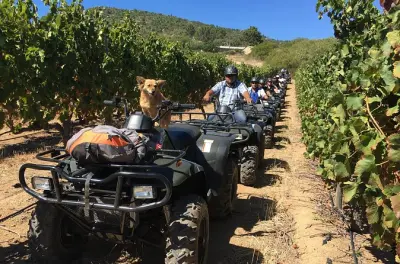 Quad-Tour in Franschhoek: Mountainbike-Strecken durch Weinberge