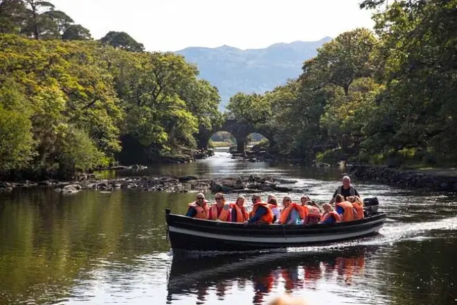 Killarney National Park Private Tour: Lakes, Castle & Waterfall