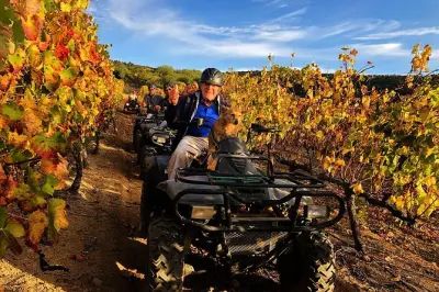 Quad-Tour in Franschhoek: Weinberg-Trail bei Vrede en Lust