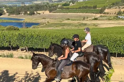 Reittour durch Stellenbosch: 2 Stunden Winelands-Ausritt