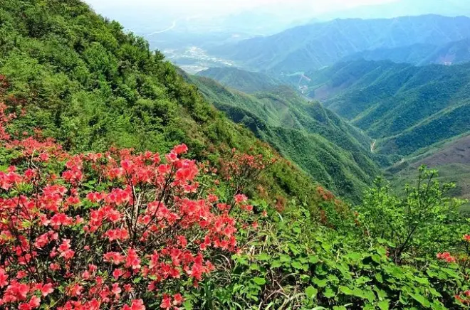 Plantação de chá Yao em Guilin com teleférico e cerimônia