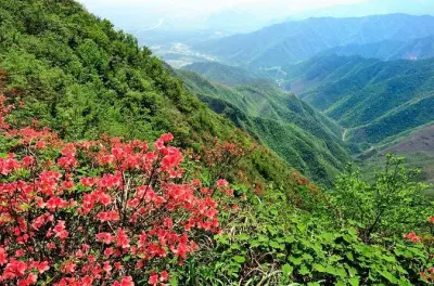 Montagne Yao à Guilin : Télésiège et cérémonie du thé inclus