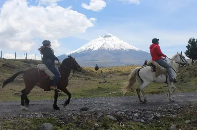 Equitazione nel parco nazionale Cotopaxi da Quito