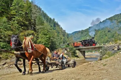 Maramures 2 dias: Igrejas de madeira e trem a vapor