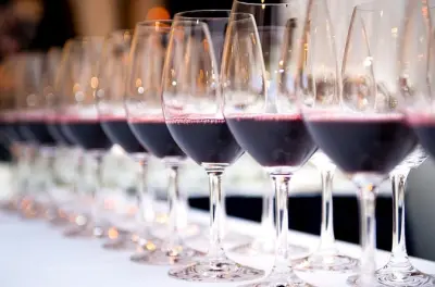 Évora wine tasting tour: Cartuxa cellar with 3 wines