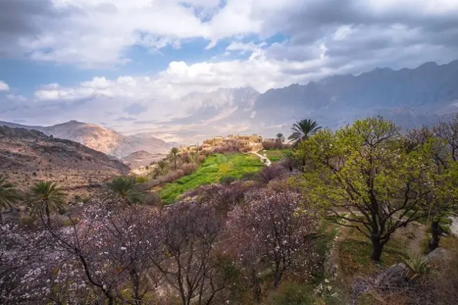 Salalah est e ovest: Castello di Taqah e sentiero dell’incenso