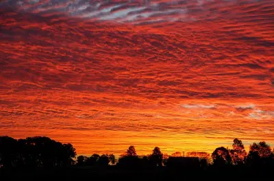 Private Hunter Valley wine tour: Tailored to your taste