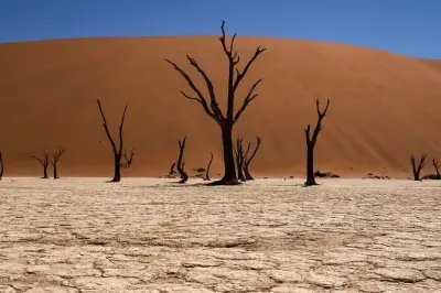 2-Day Sossusvlei Tour from Swakopmund: Dunes and Desert Camps