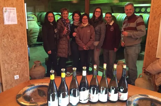 Tour de vinho Syrah saindo de Lyon: Deguste Côte Rotie e Condrieu