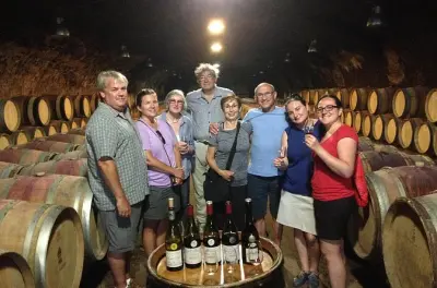 Beaujolais ab Lyon: Crus verkosten und Schlösser entdecken