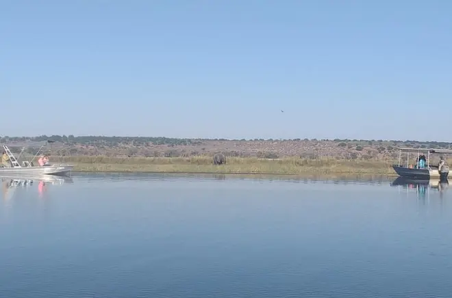 Chobe-Nationalpark Tagesausflug: Pirschfahrt & Flussfahrt