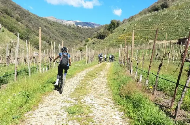 Collines de Prosecco en e-bike avec dégustation de vin mousseux