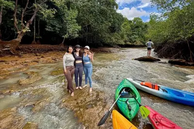 Kayak en los manglares de Chiriquí: Vida silvestre sin ruido