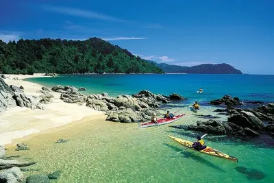 Kayaking Abel Tasman Marine Reserve: Seals & Coastline