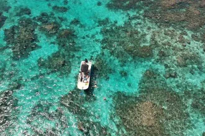 Guadeloupe: Bootsausflug durch Mangroven und Lagune mit Guide
