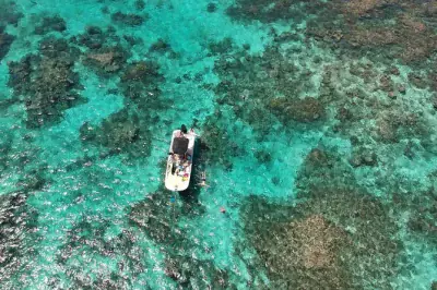 Guadeloupe: Bootsausflug durch Mangroven und Lagune mit Guide