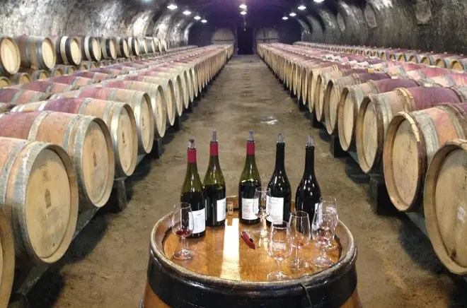 Beaujolais depuis Lyon : Dégustations de crus et châteaux