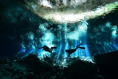 Erlebe zwei geführte tauchgänge im kristallklaren cenote dos ojos bei tulum – inklusive kompletter ausrüstung, transport und snacks. kleine gruppen mit erfahrenen guides.