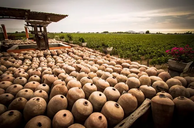 Ica Private City Tour: Wine, Museum & Lake Huacachina