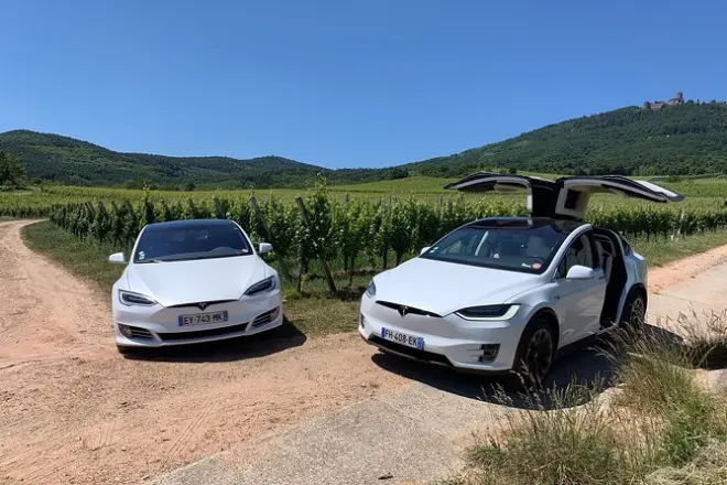 Privattour Elsass im Tesla: Vollständig anpassbar