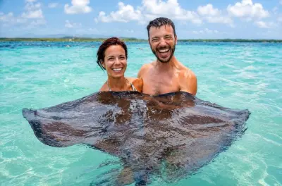 Stingray City Antigua : Nager avec les raies, plage et déjeuner