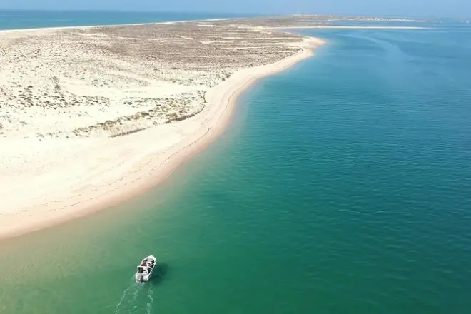 Ria Formosa tour from Faro: 2 islands, birds & beaches