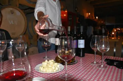 Dégustation privée de vins à Hvar avec dîner traditionnel