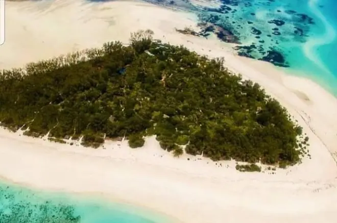Plongée à Mnemba Island, visite de Stone Town et forêt de Jozani