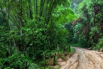 Desde santa marta, camina hasta las cascadas de minca, prueba café y cacao frescos, y disfruta un almuerzo en una casa de bambú con guía local y transporte privado.