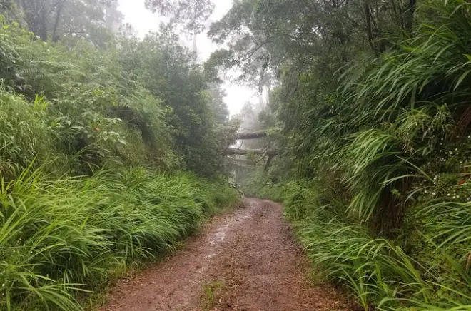 Aventures privées 4x4 à Santana et Porto Moniz, Madère