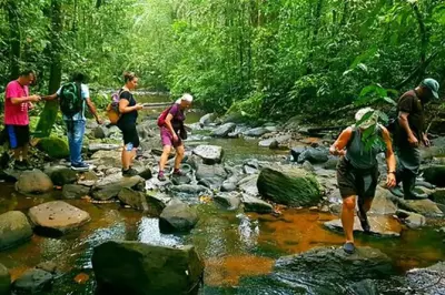 Sinharaja Forest trek from Bentota: Private day trip with lunch