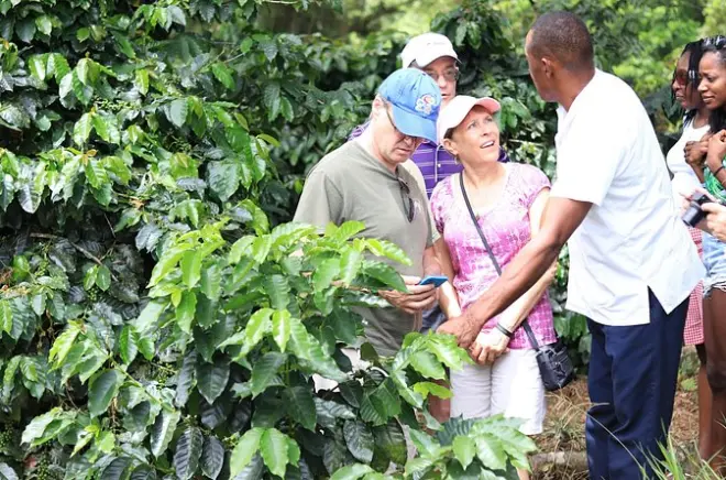 Tour por granja en Montego Bay: Sabor de Jamaica con almuerzo