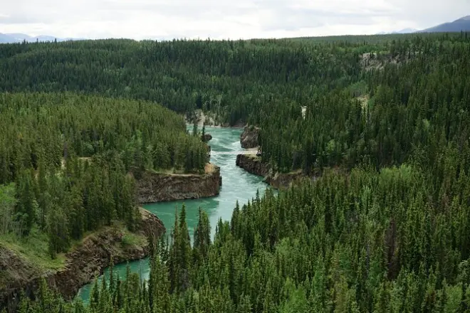 Barca sul fiume Yukon e Miles Canyon con partenze private
