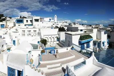 Tunis Full-Day Tour: Carthage, Bardo Museum & Medina