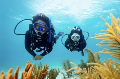 Complete PADI Open Water Dives 3 & 4 in Anguilla