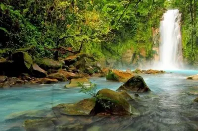 Río Celeste Waterfall & Sloth Watching Tour from Guanacaste