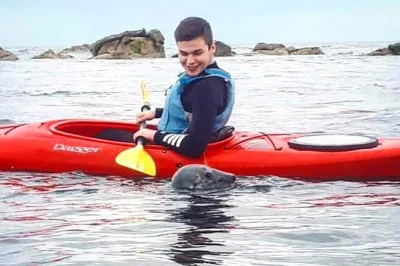 Feel the sea air as you kayak dublin bay from dalkey, spot wild seals up close, and explore historic dalkey island. includes wetsuit, gear, and local guide.