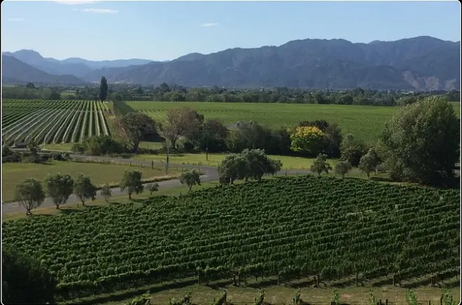 Marlborough desde Picton: Degustaciones y paradas gourmet