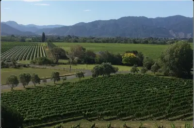 Marlborough Wine Tour from Picton: Tastings & Gourmet Stops