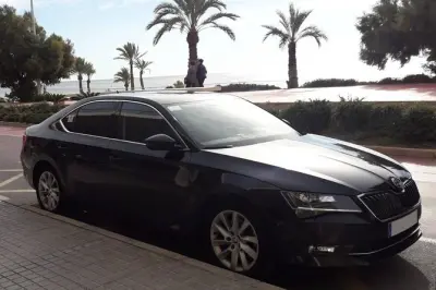 Traslado privado do aeroporto de Alicante para Albir: Sedan para 3