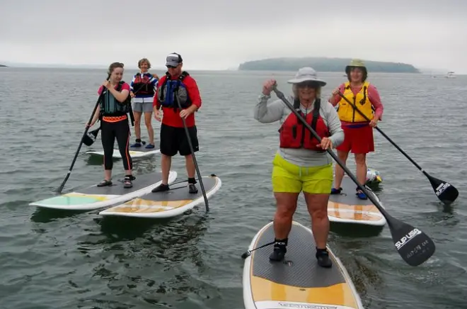 Northwest Casco Bay Paddleboard Tour mit Austernverkostung