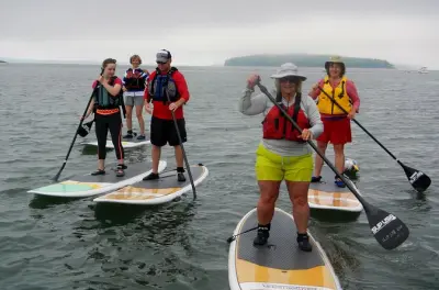 Paddleboard en Northwest Casco Bay con degustación de ostras