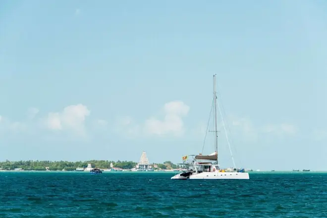 Observation des baleines à Trincomalee en catamaran : 7 heures