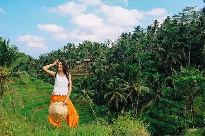 Scopri ubud con un tour privato di un giorno a bali: foresta delle scimmie sacra, tempio tirta empul, risaie di tegalalang e cascata tegenungan. incluso il pick-up.