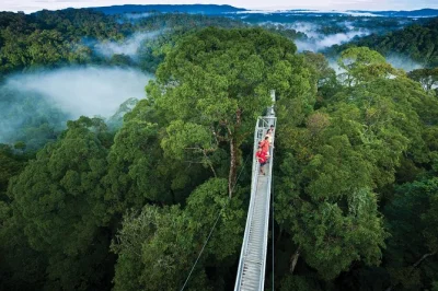Feel the wild side of brunei on a day trip to ulu temburong—canopy walk, longboat ride, local lunch, and river tubing included. pickup from your hotel.